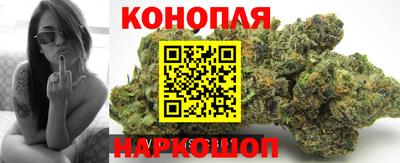 прущие крисы Кимры