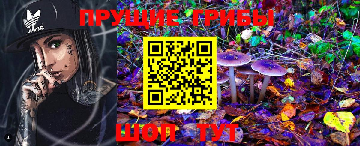 Красноармейск  Псилоцибиновые грибы Magic Shrooms  даркнет сайт  Вход с VPN 
